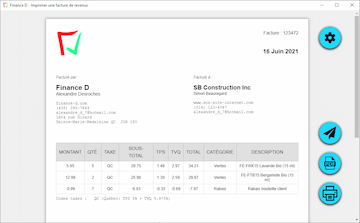 Capture d'écran miniature de l'interface du modèle de facture de revenus